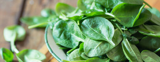 Can Cats Eat Spinach?