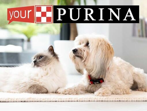 Your Purina