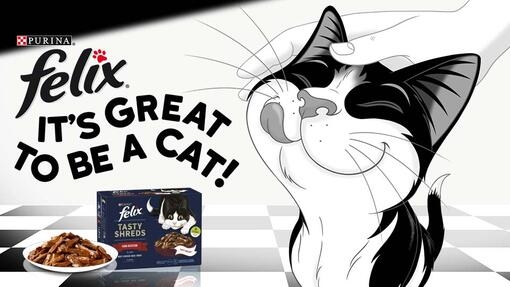 Felix it's great to be a cat