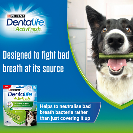 Dentalife Activfresh designed to fight bad breath at its source