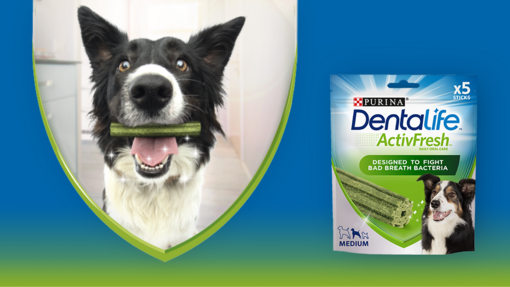 Dentalife ActivFresh medium dog product pack