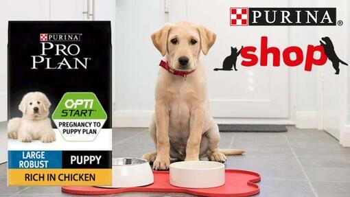 Purina Shop Puppy promo