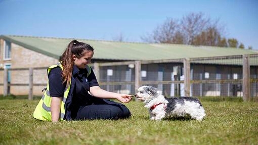 Ralph at the RSPCA centre