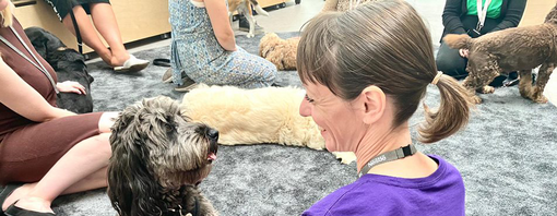 Purina employee petting dog at Cuddle Club