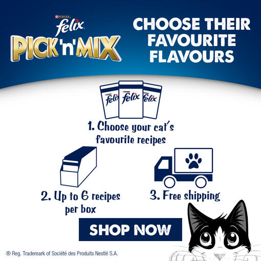 Pick n Mix Choose their favourite flavours