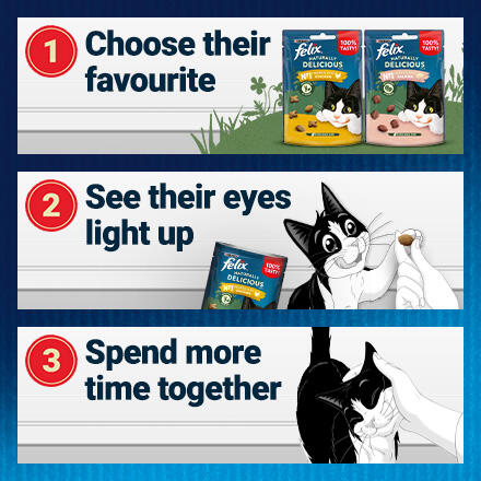 1. Choose their favourite 2. See their eyes light up 3. Spend more time together