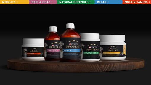 Pro plan supplements online