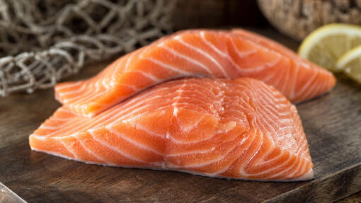 Eat Fish Can I Feed My Dog Cooked Salmon Salmon For Dogs Petchef