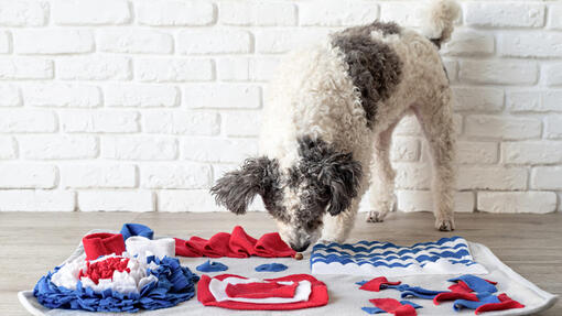 Blue Snuffle Mat, Dog Enrichment Mat