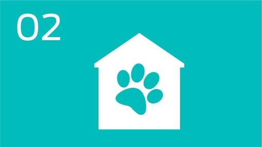 Infographic pet footprint and house