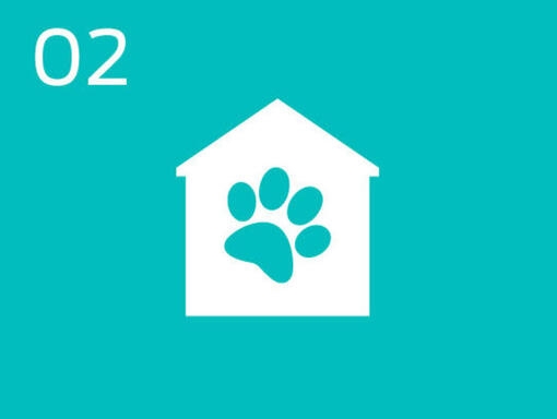 Promote pet adoption by leveraging partnerships