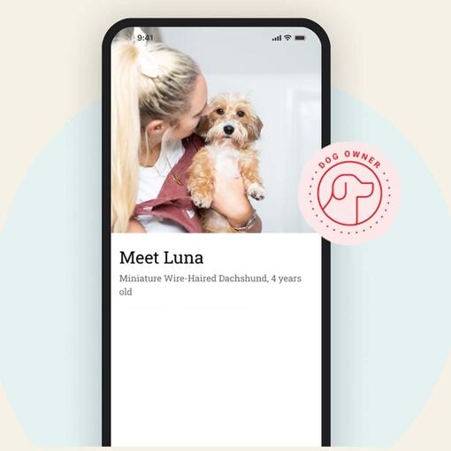 Owner Stories hero