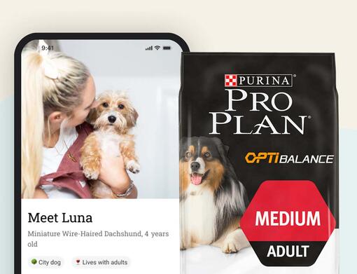 Owner Stories with product