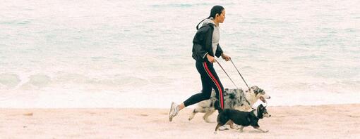 Woman running on the beach with two dogs