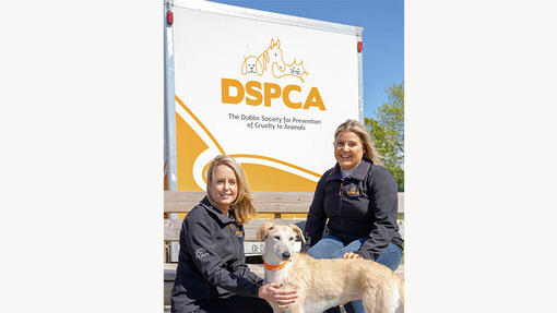 DSPCA staff with dog