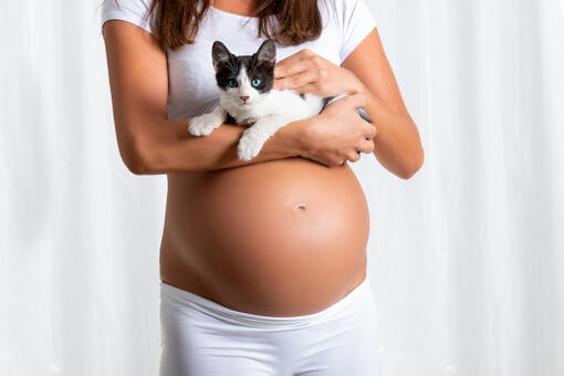 pregnant woman with cat