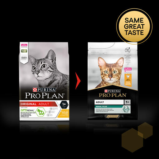 Pro Plan Adult cat product rebrand example