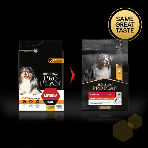 Pro Plan Adult dog product rebrand example