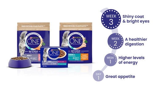 Purina One cat food bags next to the three weeks challenge benefits