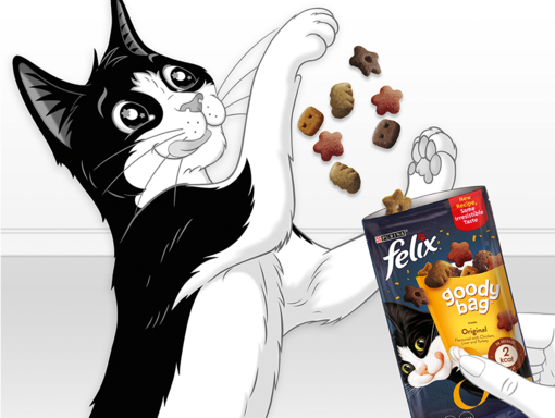 Felix and Goody bag treats