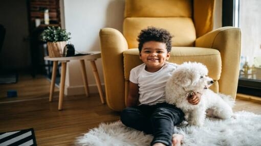 boy sitting on floor with white dog