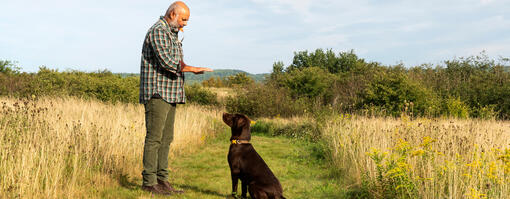 Man in a field training dog Hero