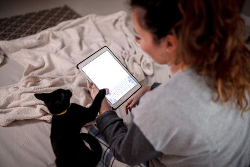 cat tapping ipad screen