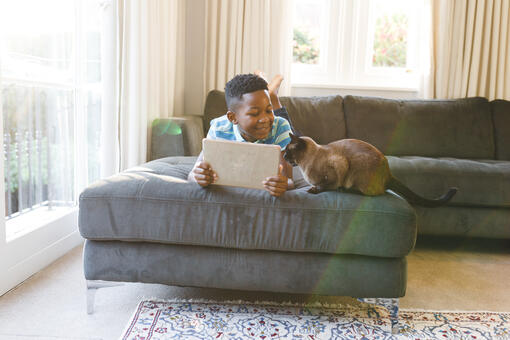 boy and cat on ipad