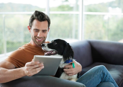 man with dog looking at ipad