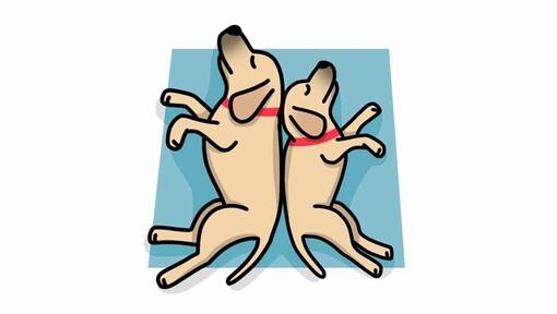 dogs sleeping back to back illustration