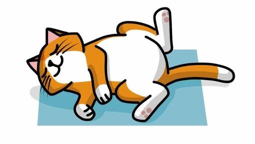cat sleeping with their belly up illustration