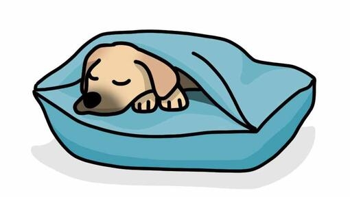 dog sleeping under blanket illustration