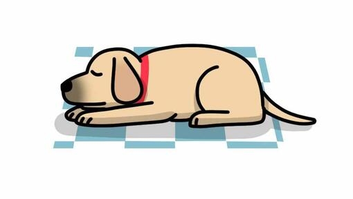 dog sleeping on cold surface illustration
