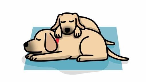 dogs cuddling whilst sleeping illustration