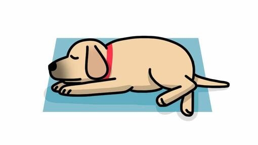 dog sleeping in lion's pose illustration