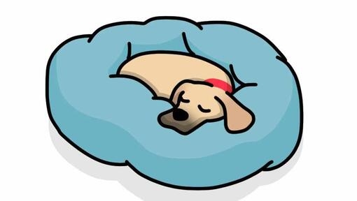 dog sleeping with head raised illustration