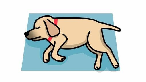 dog sleeping on their side illustration