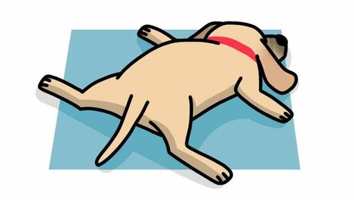 dog sleeping on stomach illustration