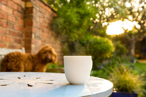 mug on table outside with dog on chair