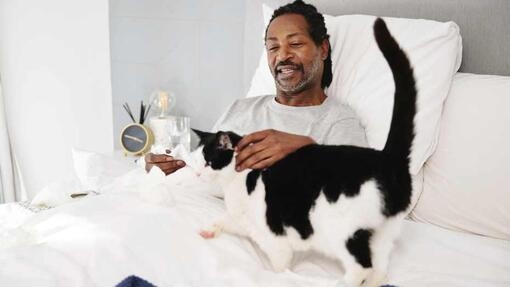 cat on bed with sick man