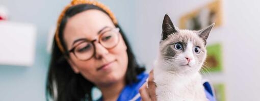 woman holding cat