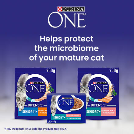 Helps protect the microbiome of your mature cat