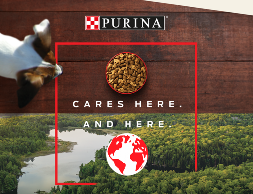 Purina cares