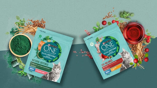 Dual Nature products