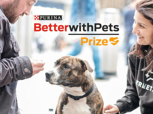The Purina BetterWithPets Prize