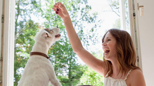 Woman feeding dog