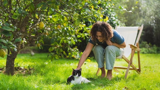 Cat and owner near fruit tree