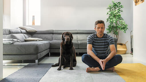 Man meditating with dog