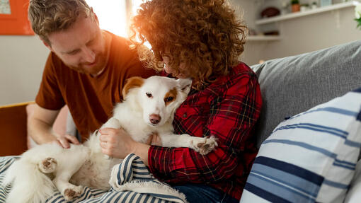 Couple holding dog