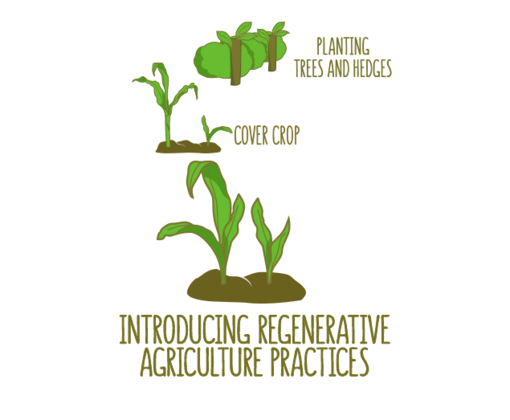 Introducing Regenerative Agriculture Practices